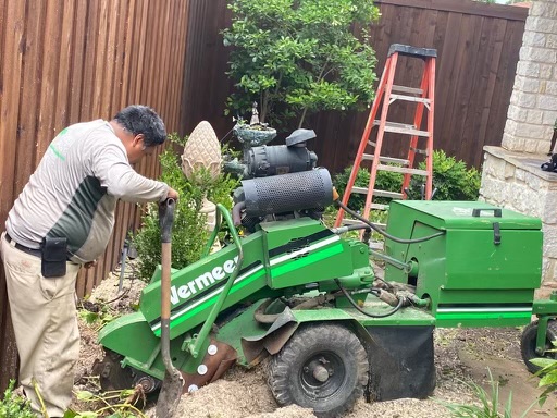 Tree Work