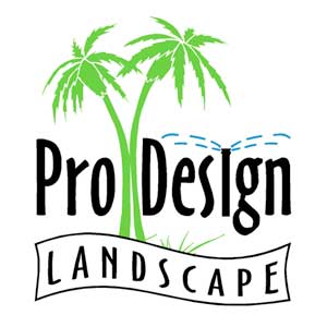 Pro-Design